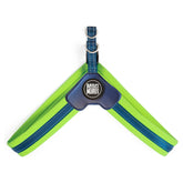 Max&Molly Pettorina Fit