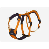 Pratiko Pet Pettorina Anti Fuga