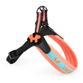 United Pet Pettorina Identity Arancione e Blu