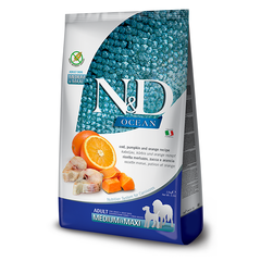 N&D Ocean Merluzzo, Zucca e Arancia Medium/Maxi