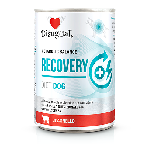 Disugual Metabolic Balance Recovery Umido Cane 400 g