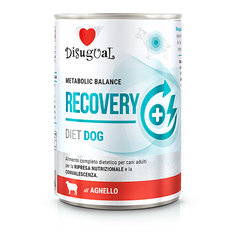Disugual Metabolic Balance Recovery Umido Cane 400 g