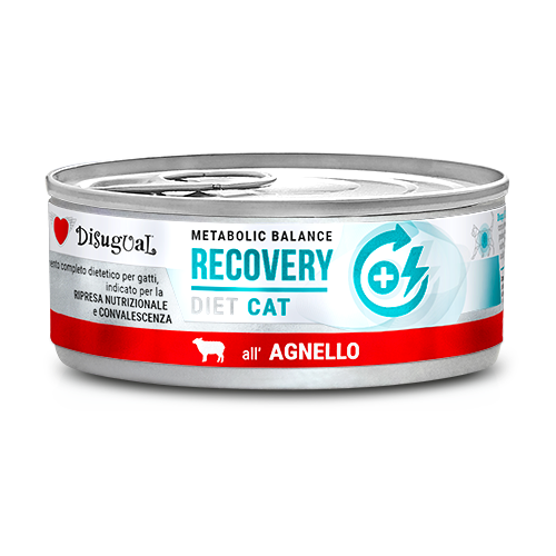 Disugual Linea Dietetica Metabolic Balance Umido Gatto 85 g
