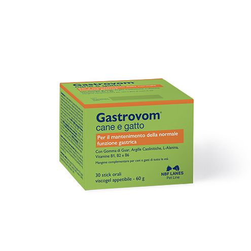 Gastrovom Stick