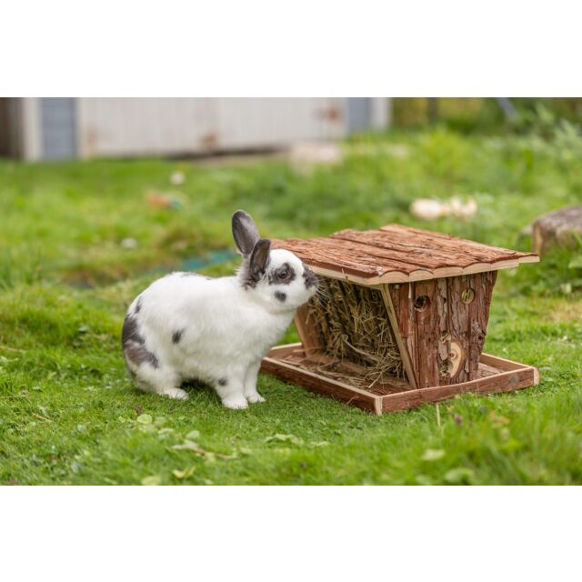 Mangiatoia in Lego e Corteccia con Gambe d'Appoggio per il Fieno