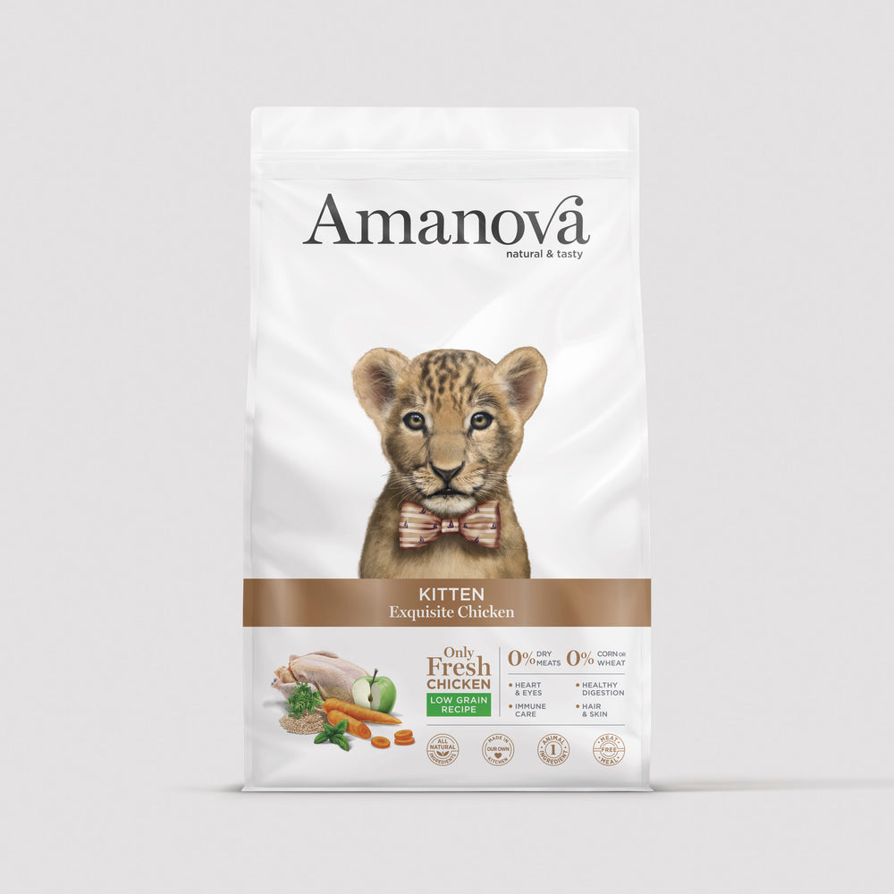 Amanova Gatto Kitten Exquisite Chicken (Pollo) 1.5 kg