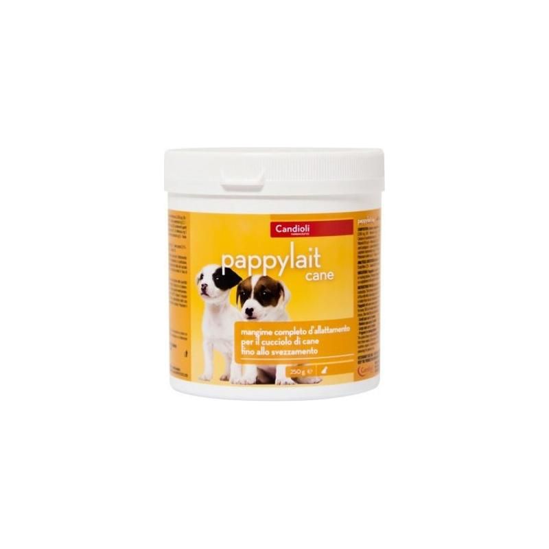 Candioli Latte in Polvere Pappylait