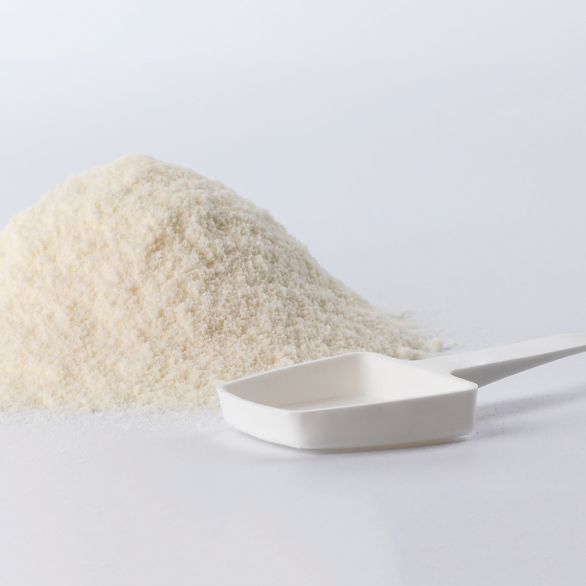 Beaphar Lactol Latte in Polvere per Gattini 250 g