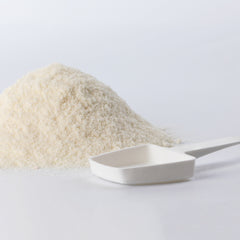 Beaphar Lactol Latte in Polvere per Gattini 250 g