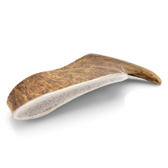 Corna di Alce 1 Pezzo L 150-200g