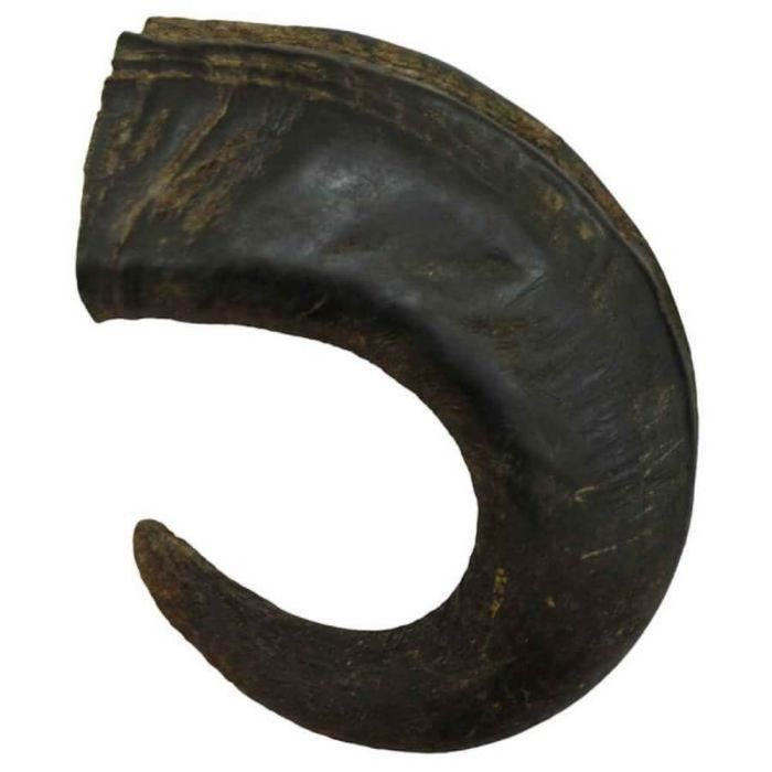 Corna di Bufalo Pieno 1 Pezzo M 150-250g