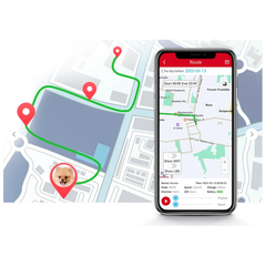 Finder GPS per Cane e Gatto