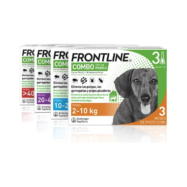 Frontline Combo Cane Antiparassitario