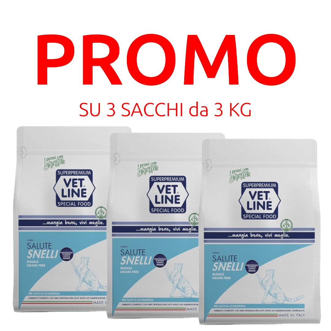 Vet Line Gatto Salute Snelli Gusto Maiale Grain Free