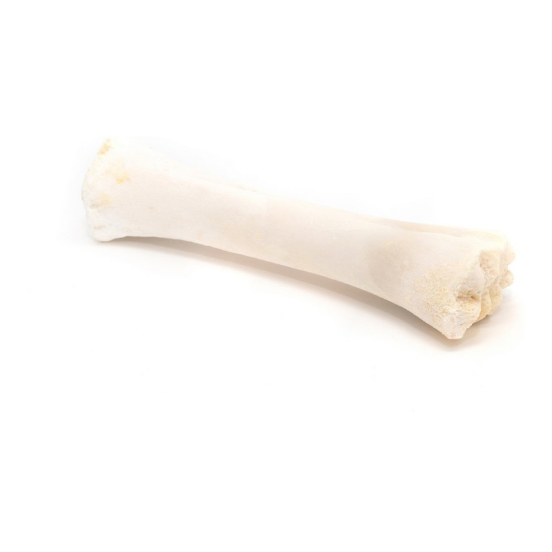 Osso di Calcio Snack 350g
