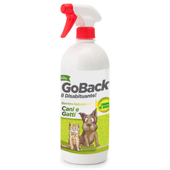 Go Back Disabituante
