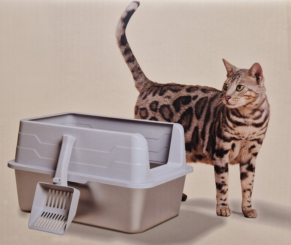 Lettiera Per Gatto in Acciaio