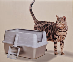 Lettiera Per Gatto in Acciaio
