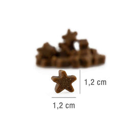 Platinum Stars Snacks Salmon 185g