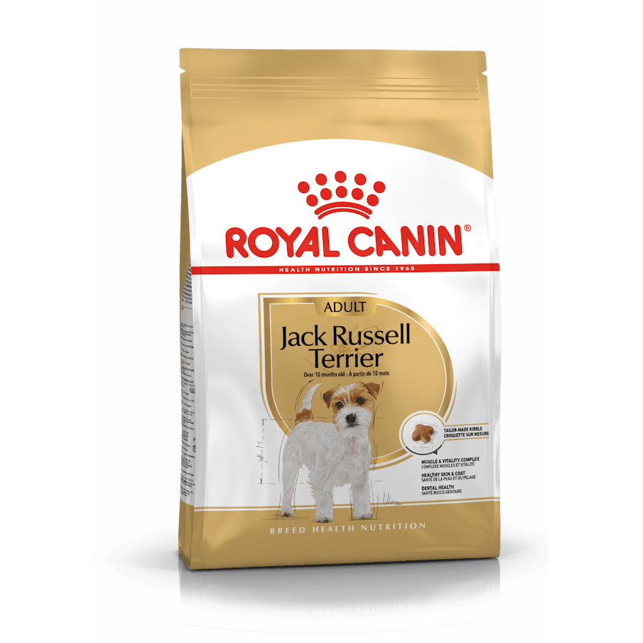 Royal Canin Jack Russel