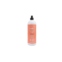 Snackys Olio di Salmone 250ml
