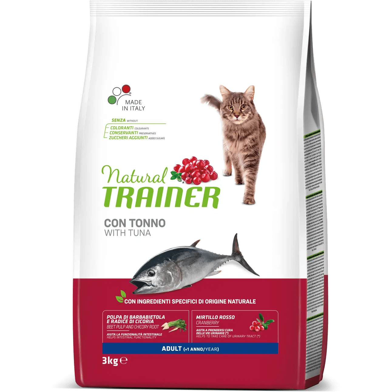 Trainer Gatto Adult