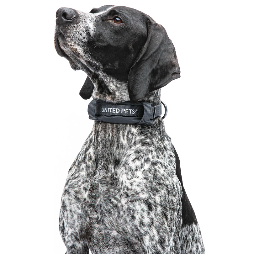 United Pets Collare Soft CityLife