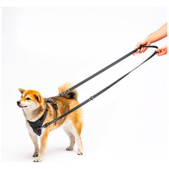 United Pets Guinzaglio da Addestramento CityLife